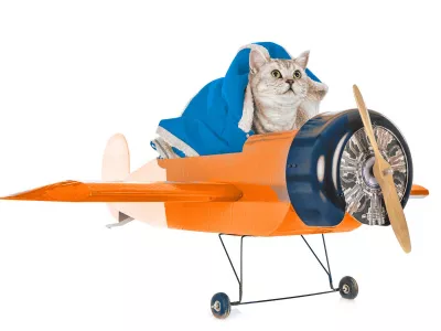 Moving_PetRelocation_AsiaRelocation